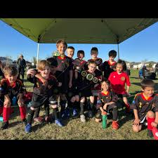 Image result for Phoenix Old Boys Football Club