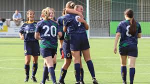 Image result for Beecholme Fc