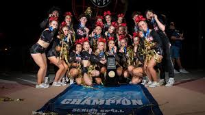 Image result for Fierce Athletics Cheerleaders
