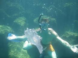 Image result for East Snorkellers