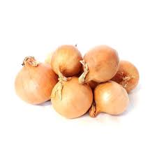 Image result for Zwiebeln