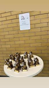 Image result for Kingswinford Ashton Jnr Badminton Club