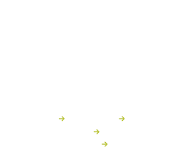 Image result for Max Extreme Boarding Association