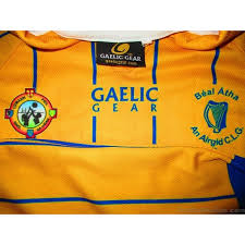 Image result for Silverbridge Harps Gac