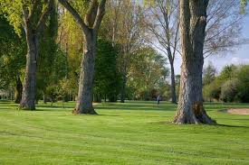 Image result for Datchet Golf Club Ltd