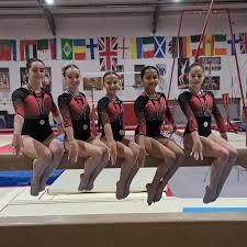 Image result for Swallows Of Helston Gymnastics Club