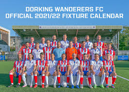 Image result for Dorking Wanderers F C