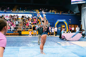 Image result for Weaverham Gymnastics Club