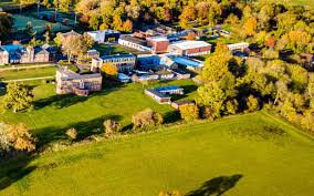 Image result for Sylvan Green 1981 Jaguar