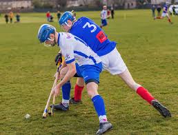 Image result for Lochcarron Camanachd