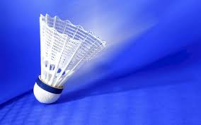 Image result for Barton Acorn Junior Badminton Club