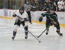 Image result for Adur Skater Hockey Club