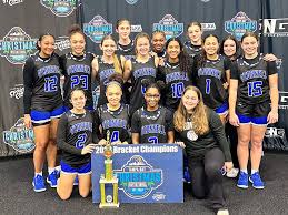 Image result for Blackpool Lights Ladies Basketball Club