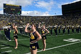 Image result for Teesside Twirlers