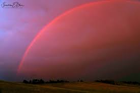 Attēlu rezultāti vaicājumam “Red Rainbows”