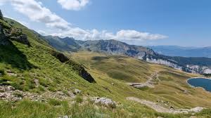 Attēlu rezultāti vaicājumam “Agrodiaetus damon underside”