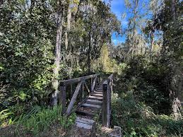 Image result for Thorn Park L T C