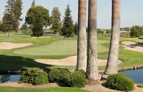 Image result for Belmont Scrabble Club