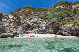 Image result for St Austell Canoe Club