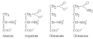 Behavioral Neuroscience, Transmitter and Neuromodulator information