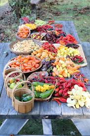 Afbeeldingsresultaat voor aji habanero hot pepper