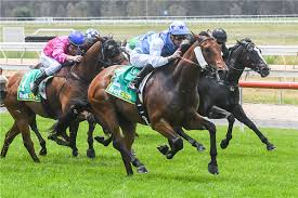 Image result for Thoroughbreds Netball Clubs