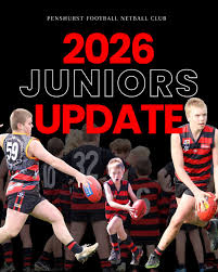 Image result for pulborough netball club