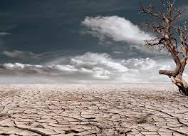 Image result for pemanasan global