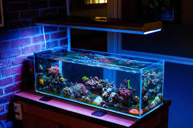 Image result for Peninsula Sub Aqua