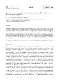 Image result for Squalius cephalus cavedanus