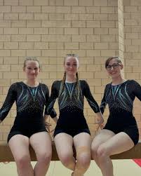 Image result for Wyre Forest School Of Gymnastics