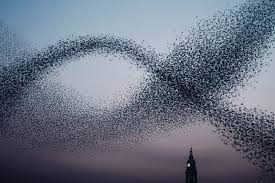 Image result for Alain Delorme