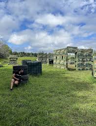 Image result for Cenarth Laser Combat