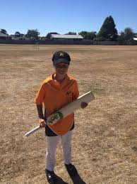 Image result for Weirs Cricket Club