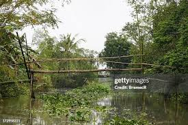 Image result for PONT DE SINGE