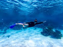 Image result for East Snorkellers