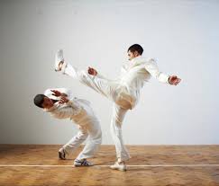Image result for Cobra Capoeira Kids Club