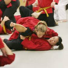 Image result for Combined self defence arts