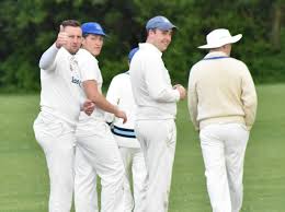 Image result for Nazeing Common Cricket Club