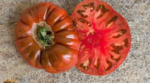 Afbeeldingsresultaat voor dark purple beefsteak tomato