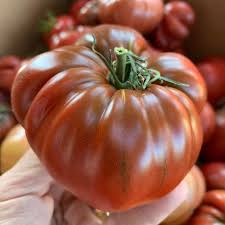 Afbeeldingsresultaat voor dark purple beefsteak tomato