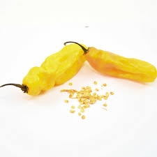 Afbeeldingsresultaat voor mme jeanette hot pepper