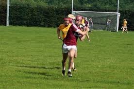 Image result for Sean Treacy`s Hurling Club