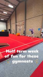 Image result for Abingdon Gymnastics Club