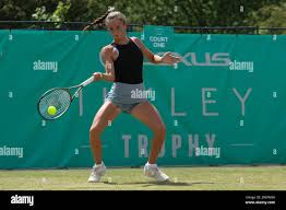 Image result for Western Lawn Tennis & Squash Club