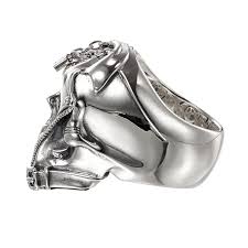 「テジャス・ヴィジ」の画像検索結果