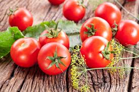Bildergebnis für tomaten