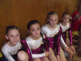 Image result for Harlequins Gymnastics Club