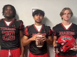 Image result for Reading Knights