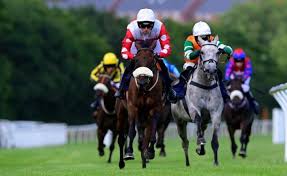 Image result for Newton Abbot Somersaults Gc